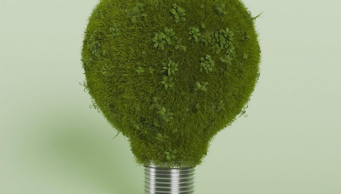 Gwarancje pochodzenia – obecna sytuacja na rynku energii.