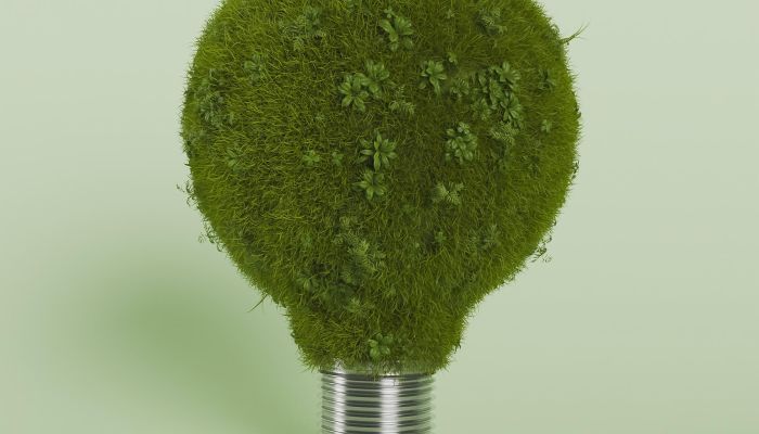 Gwarancje pochodzenia – obecna sytuacja na rynku energii.